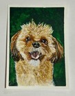 Aceo Original  Custom Pet Portrait  Commission  Mini Art Painting  Jen_kmorgan