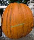 Trick Or Treat Studios Legend Of Sleepy Hollow Light Up Pumpkin Prop Tim Burton