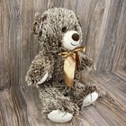 Fao Schwarz Teddy Bear Plush