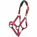 Magnetic Halter bridle Crown - Magnetic Therapy Strap For Your Horse