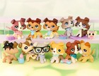 Little Pet Shop Lps Collie Dog Pet Figure Bobble Head Collectible Animal Toy