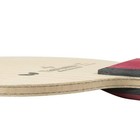 Butterfly Apolonia Zlc Fl Flared Table Tennis Blade Ping Pong Racket