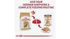Royal Canin Breed Health Nutrition German Shepherd Adult Dry Dog Food  30 Lbs 