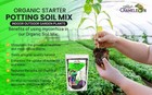 Organic Autoflower Seed Starter Soil Living Mix With Mycorrhizae Seedlings