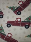 Christmas Handmade Guinea Pig small Pet Fleece 2x3 C c Cage Liner Bedding 