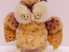 Vintage Steiff Witty Owl Mohair Glass Eye Chest Tag Ear Button 5 