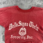 Vintage Delta Sigma Theta Sorority Inc Sweater Crewneck Men s Small 70s Flock