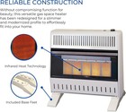 Procom 30 000 Btu Natural Gas Ventless Infrared Heater With T-stat  Mn300tpa-b