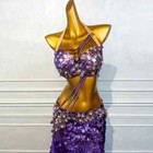 Belly Dance Set Women Luxury Bra sexy Long Skirt 2pcs Oriental Dance Outfit