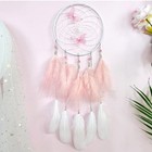 Dream Catcher Wall Decor  Girls Dreamcatchers Wall Hanging Pink Butterfly