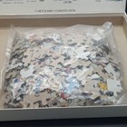  Cartoonist Constitution Celebration Of America Jigsaw Puzzle 550pcs