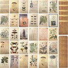 Vintage Style Postcard And Envelope Set Floral Retro Plant Butterfly Vintage 
