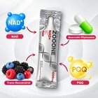 Zooone Nad  1000mg Drink Mix With Pqq   Resveratrol  Berry Flavor  30 Packets
