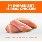 Iams Proactive Health Adult Dry Cat Food Chicken 22 Lb