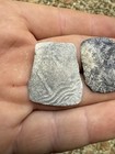 Lot Of 2 Authentic Spanish 4 Reale Cob Coin Shipwreck Pirate Treasure Bolivia
