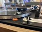 Dual 1245 Automatic Belt Drive Turntable W  Dustcover  Works Great 