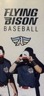 2026 Abilene Flying Bison Schedule        Minor Baseball Sked Cool Brochure      