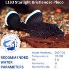 1x  L183 Starlight Pleco 20  2  Mix Color Neocaridina Shrimps Live Guarantee