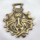 Brass Horse Medallion Vintage English Scottish Thistle Flower Bonnie Scotland