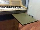 Wurlitzer Electric Student Piano-206a