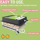 Obi-36 Egg Incubator With Automatic Egg Turning And Humidity Control   36 Egg   