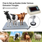 Livestock Scale Kit For Cattle Hogs Goats Sheep Pigs Squeeze Chutes Pallet Scale