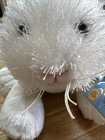 Ganz Webkinz Rabbit Hm078 New With Sealed Code Tag