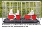 Oribuki Cage Cups Birds Feeders Seed Bowl Chicken Feeding Watering 10pc