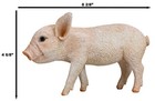 Adorable Realistic Animal Farm Babe Piglet Pig Statue 8 l Rustic Country Pigs