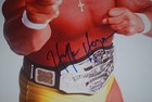 Wwe Wwf Legend Hulk Hogan Signed 16x20 Photo Psa dna Coa Y70506