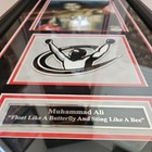 Muhammad Ali  Signed 8x10 Color Photo  16   27 Frame  With  Coa  psa dna 