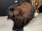 Xxl Brown Sheepskin Rug Pelt Genuine Sheepskin Real Soft Seat Throw