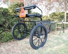 Easy Entry Horse Cart - Cob   Full Size W steel  c  Springs 23  Motorcycle Tires