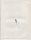 G2073 Photo 1960s American Social History Topless Girl Jeani Monroe Pinup Nude
