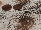 New Cowhide Rugs Area Cow Skin Leather 21 38 Sq feet  57 x54   Cow Hide M1150