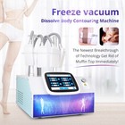 4 Cold Pads Cool Freezing Belly Body Removal Body Beauty Machine Sshape87