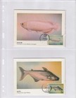 100 Lighthouse Vario 2c Pages Clear 2 Pockets Archival Safe Stamp Postcard Sheet