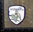 Vintage Missouri Eastern Bluebird State Travel Souvenir Sew-on Patch Mo 1970   s