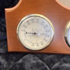 Vintage Springfield Hanging Thermometer  Barometer  Humidity  Picture Frame
