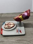 3d Anatomical Heart  Brain Display Model From Lipitor  Caduet Vintage