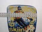 Handmade Needlepoint Pillow Cover Skiing Scene 14  X 14 