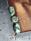  7g Very Bright  from Island  Isle Royale Greenstone Chlorastrolite Michigan Gem