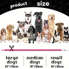 Rechargeable Led Light-up Flash Glow Collar Dog Pet Safety Micro Usb Adjustable 