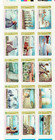 Chile 1984 Complete Year Mnh Pristine Condition See Scan
