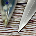 Fantasy Dagger Knife Stainless Steel Blade Collectible Display Decor 7  Blade