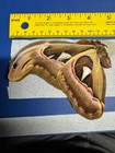 At 01    A  a    Atlas Moth  Going Out Of Business Sale