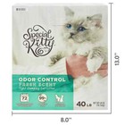 3 Pack Special Kitty Odor Control Tight Clumping Cat Litter  Fresh Scent  40 Lb