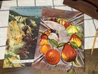 Walter Foster 2 Vintage Art Books  Drawing Simplified   Seascapes