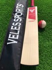 English Willow Cricket Bat Grade 1st Full Size Cricket Bat leather Ball bat Oil