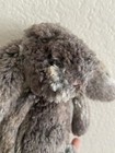 Jellycat London Small Bashful Woodland Bunny Plush 8 Inch Stuffed Animal